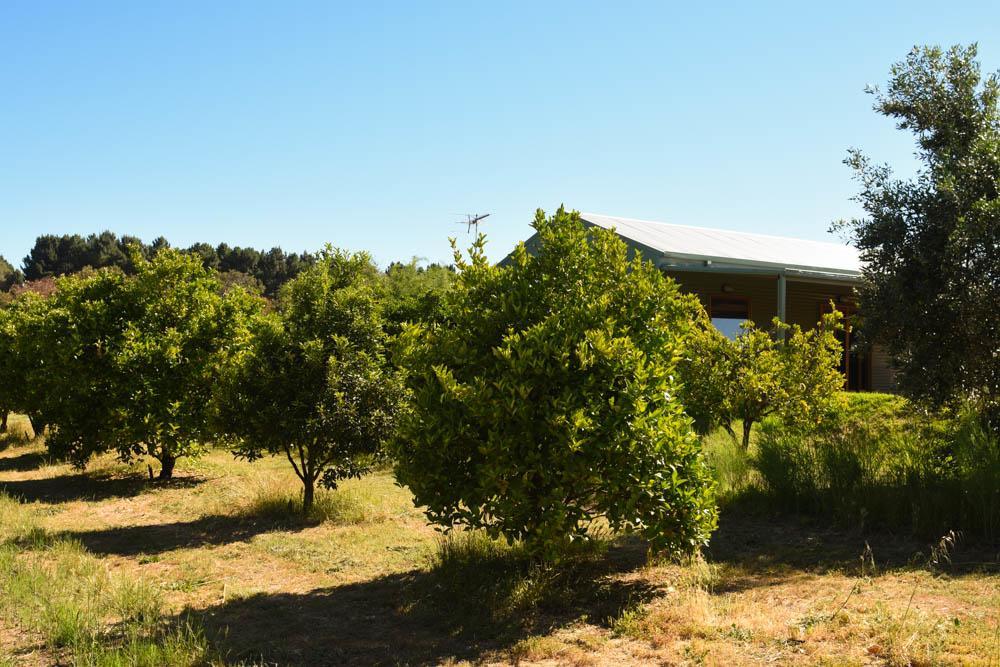 Swan Valley Sisters Henley Brook Luaran gambar