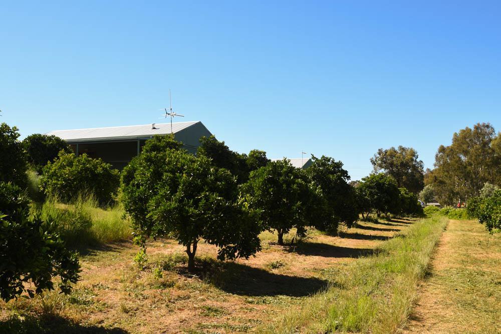 Swan Valley Sisters Henley Brook Luaran gambar