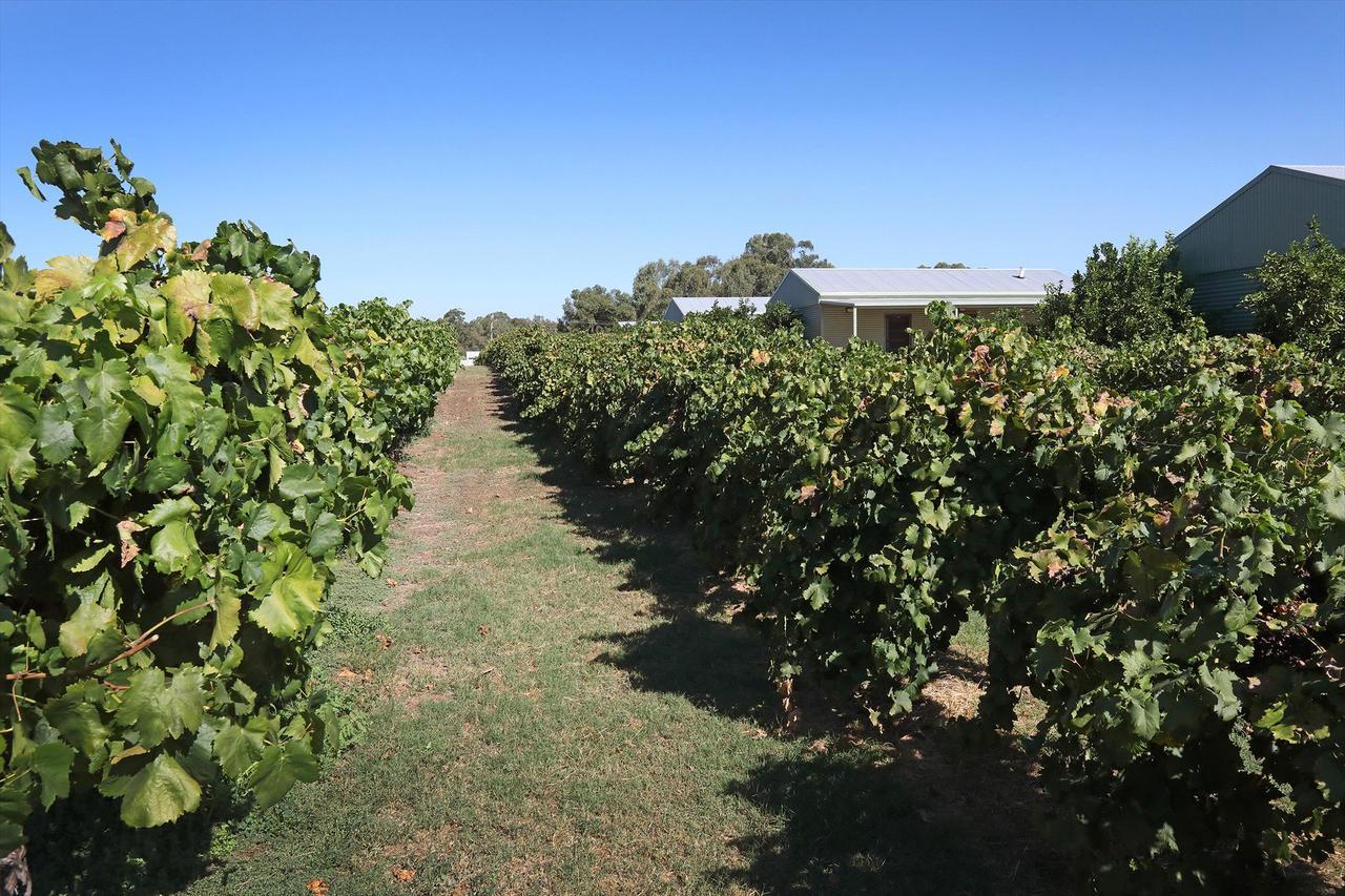Swan Valley Sisters Henley Brook Luaran gambar