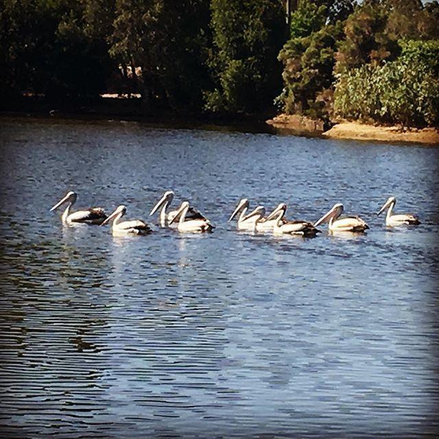 Swan Valley Sisters Henley Brook Luaran gambar
